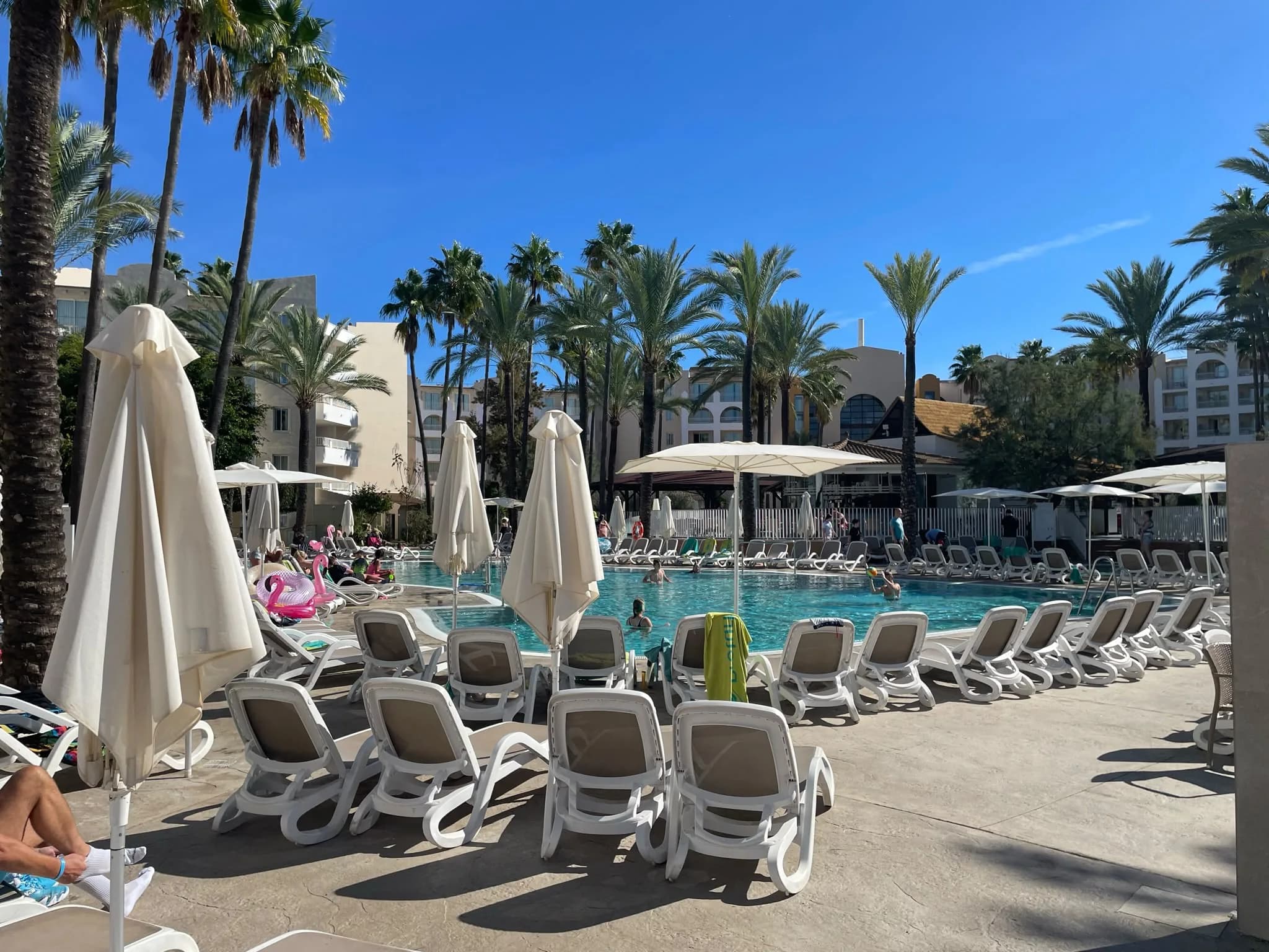 Piscine bordée de palmiers lors d’un séjour Sports & Sun